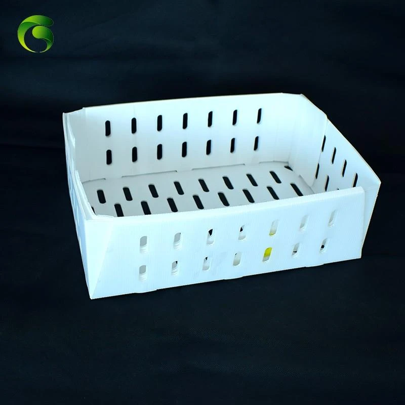 Frozen Shrimp Coroplast Box