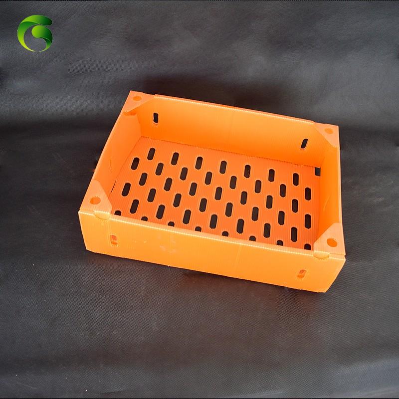 Frozen Shrimp Coroplast Box