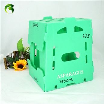 Pabrik OEM Bergelombang Plastik Asparagus Packaging Box